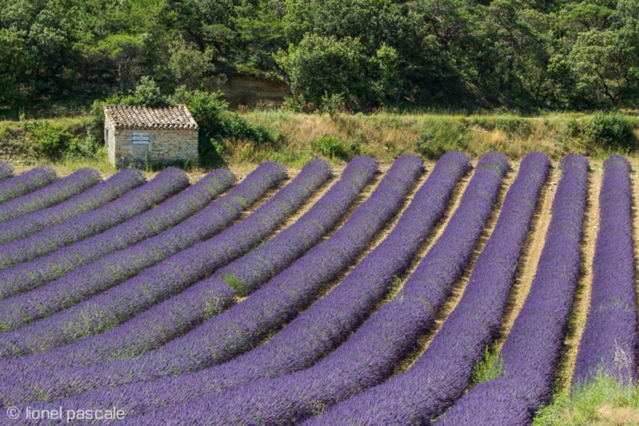 Gite Marius Mirabel-aux-Baronnies Exterior foto